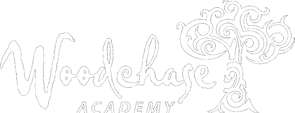 Woodchase Academy